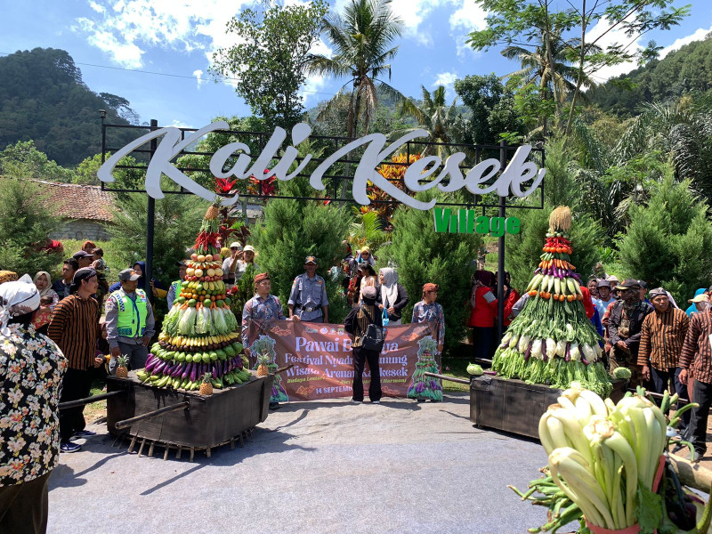 PAWAI BUDAYA FESTIVAL NYADRAN GUNUNG WISATA ARENA KALIKESEK